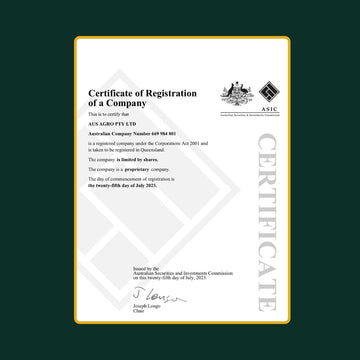 Con GRANDES <em>ambiciones</em>